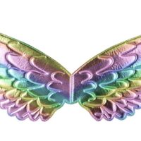 1pc angle wings colorful feather