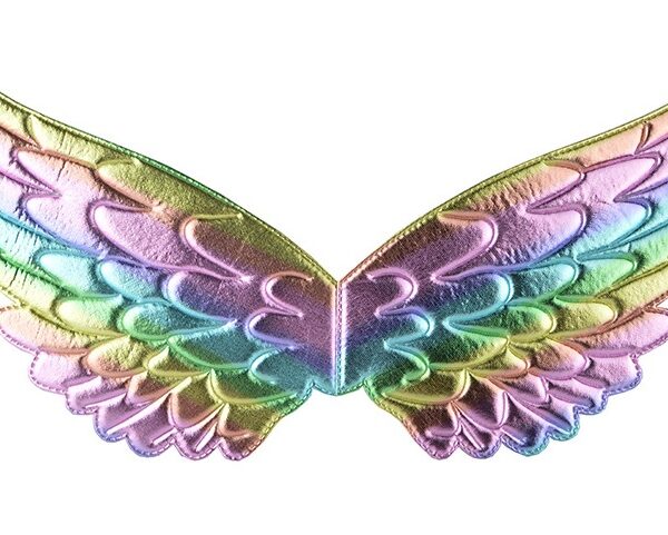 1PC Angle Wings colorful Feather