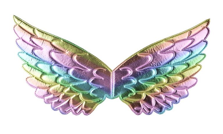 1pc angle wings colorful feather