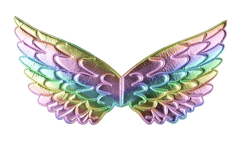 1pc angle wings colorful feather