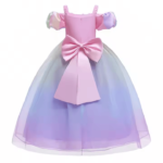 Little princess dress2