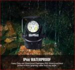 501130314 721351520451749 8688049957145691525 n